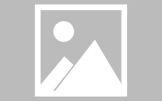 禹城信息系统网页设计（信息系统网页设计主要包括）
